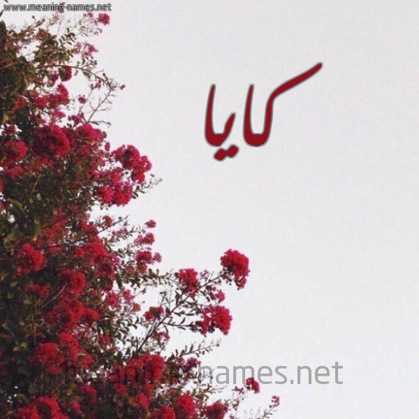 شكل 18 صوره الورد الأحمر للإسم بخط رقعة صورة اسم كايا Kaya