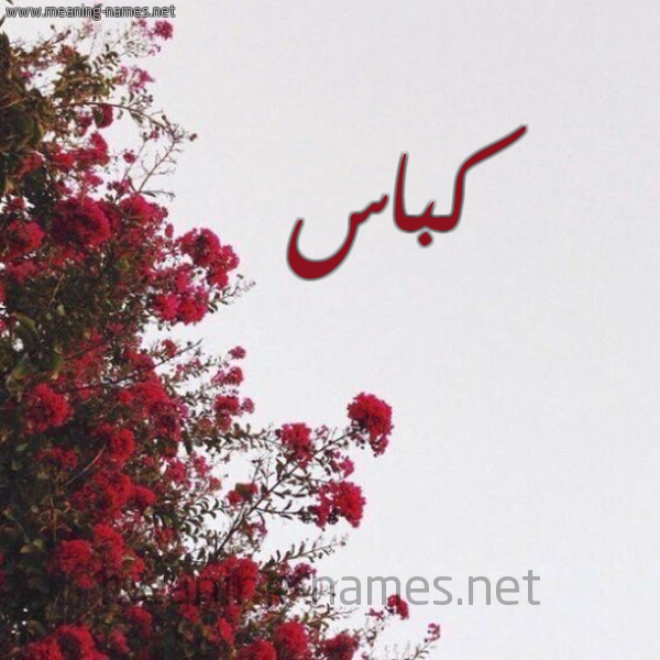 شكل 18 صوره الورد الأحمر للإسم بخط رقعة صورة اسم كباس Kbas