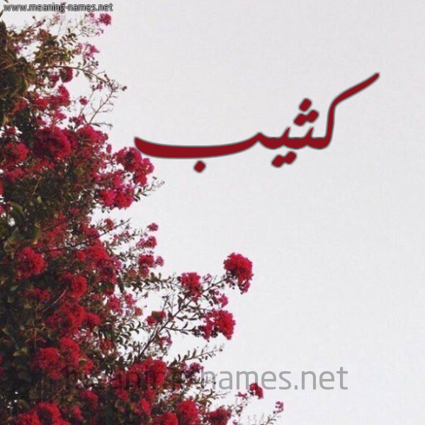 شكل 18 صوره الورد الأحمر للإسم بخط رقعة صورة اسم كثيب Kathib