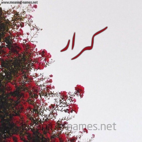 شكل 18 صوره الورد الأحمر للإسم بخط رقعة صورة اسم كرار karrar