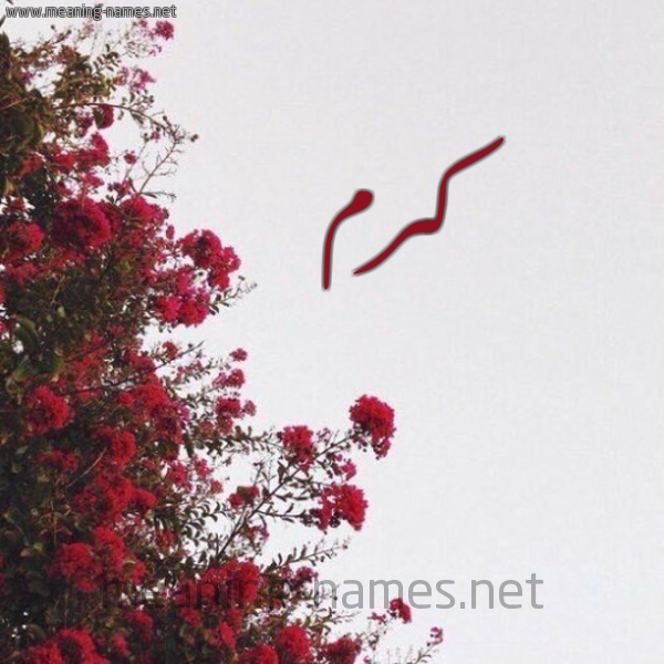شكل 18 صوره الورد الأحمر للإسم بخط رقعة صورة اسم كرم Krm