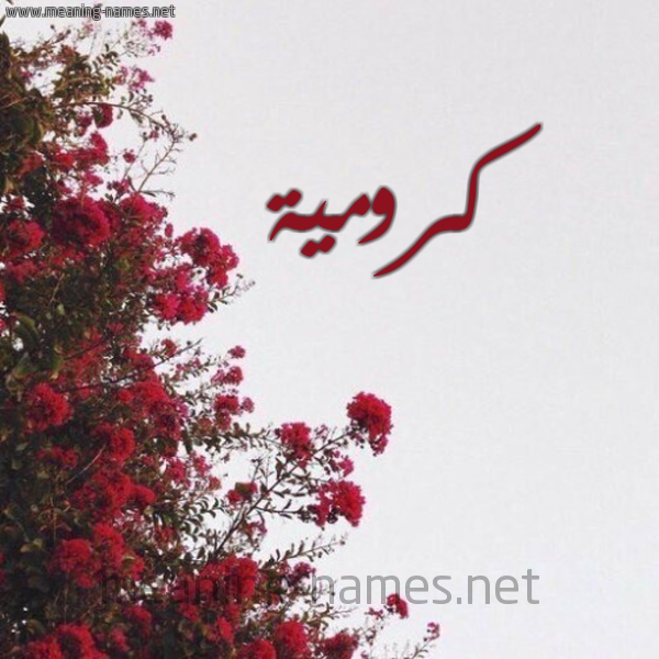 شكل 18 صوره الورد الأحمر للإسم بخط رقعة صورة اسم كرومية kromia