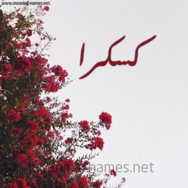 شكل 18 صوره الورد الأحمر للإسم بخط رقعة صورة اسم كسكرا Kskra