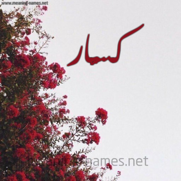 شكل 18 صوره الورد الأحمر للإسم بخط رقعة صورة اسم كسَّار KSAAR