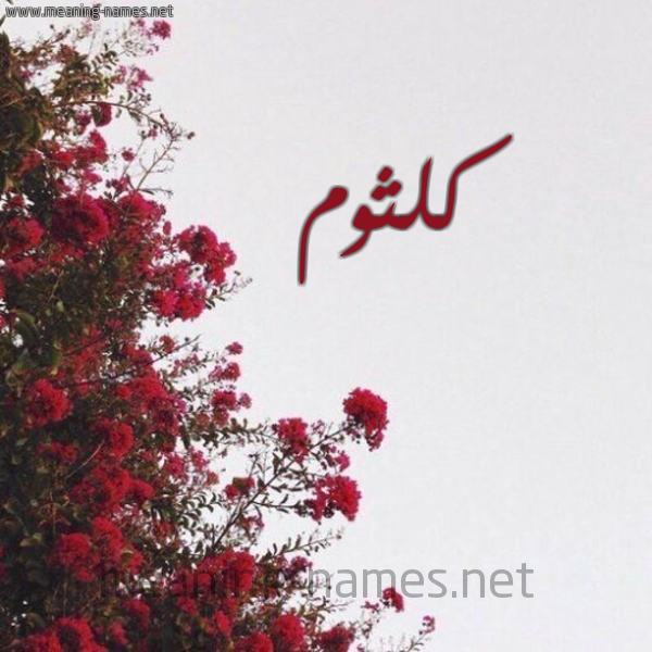 شكل 18 صوره الورد الأحمر للإسم بخط رقعة صورة اسم كلثوم Klthoum