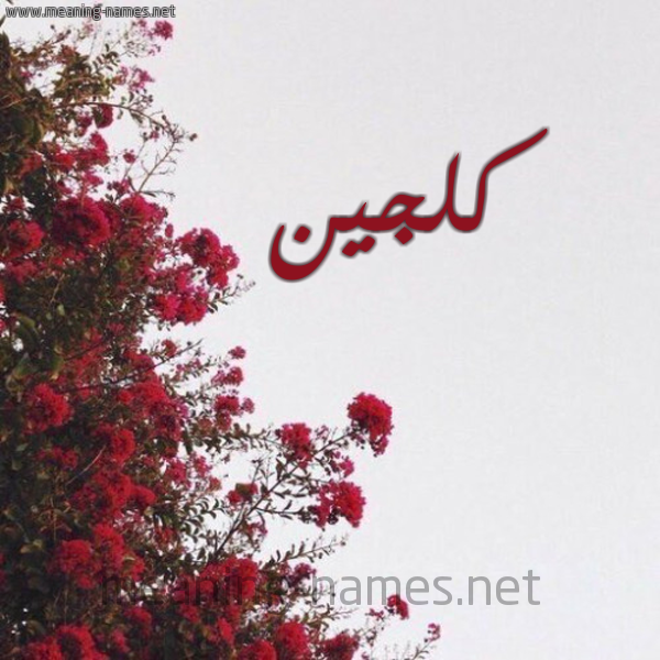 شكل 18 صوره الورد الأحمر للإسم بخط رقعة صورة اسم كلجين Klgeen