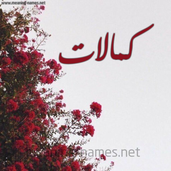 شكل 18 صوره الورد الأحمر للإسم بخط رقعة صورة اسم كمالات Kmalat