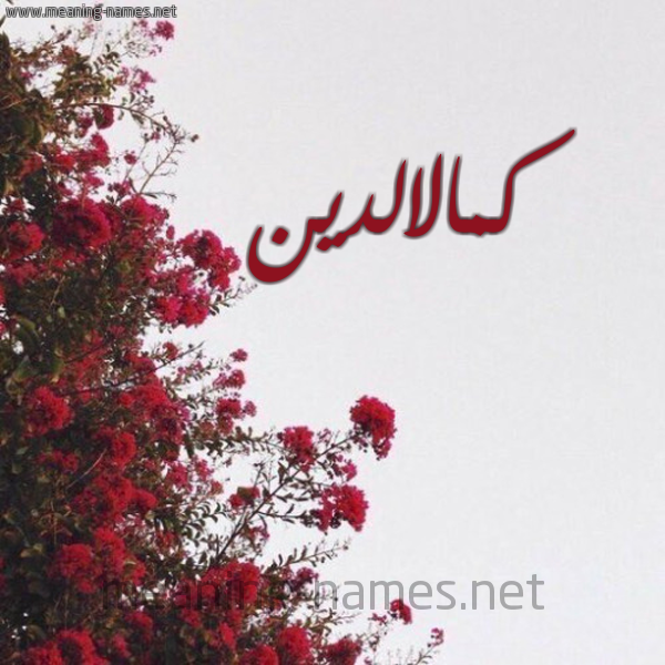 شكل 18 صوره الورد الأحمر للإسم بخط رقعة صورة اسم كمالالدين Kmalaldyn