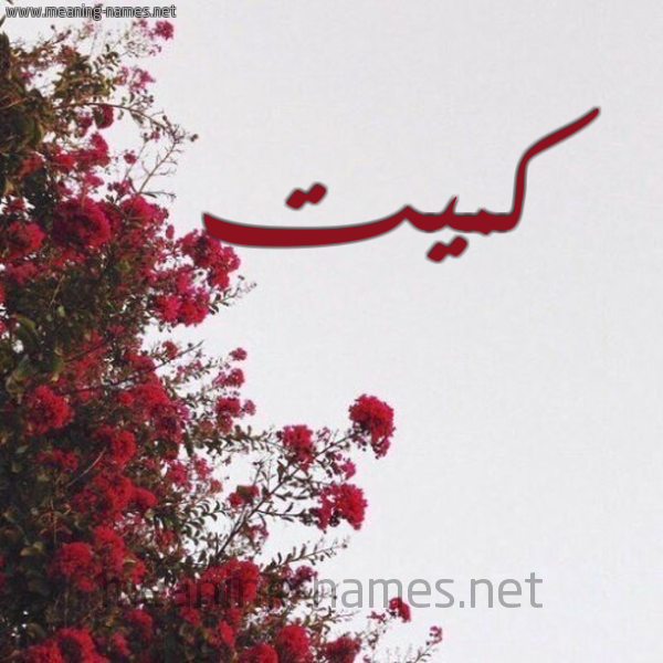 شكل 18 صوره الورد الأحمر للإسم بخط رقعة صورة اسم كميت Kmyt