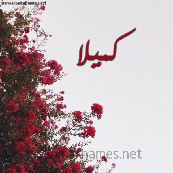 شكل 18 صوره الورد الأحمر للإسم بخط رقعة صورة اسم كميلا Camille