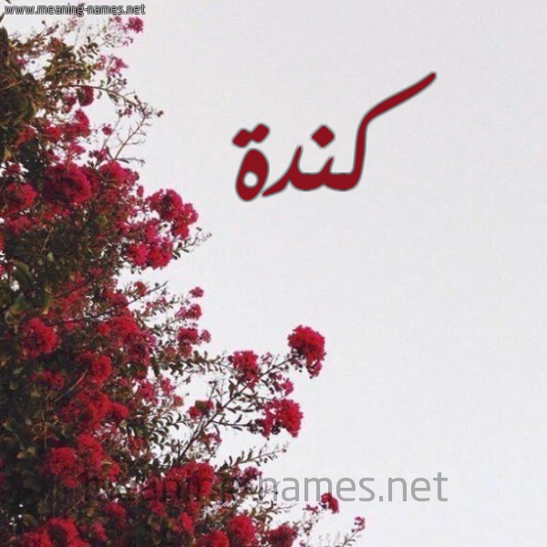 شكل 18 صوره الورد الأحمر للإسم بخط رقعة صورة اسم كندة Kendah