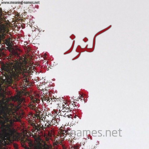 شكل 18 صوره الورد الأحمر للإسم بخط رقعة صورة اسم كنوز Konouz