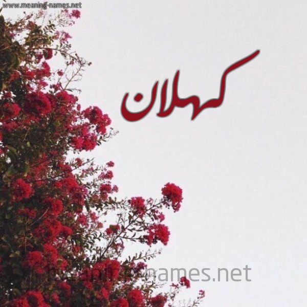 شكل 18 صوره الورد الأحمر للإسم بخط رقعة صورة اسم كهلان Kahlan