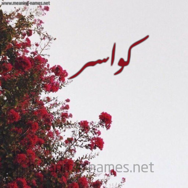 شكل 18 صوره الورد الأحمر للإسم بخط رقعة صورة اسم كواسر Kwasr