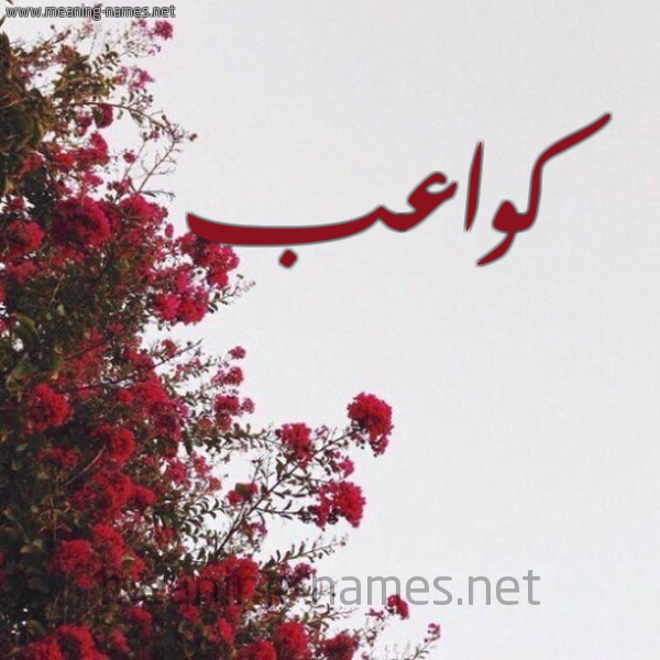 شكل 18 صوره الورد الأحمر للإسم بخط رقعة صورة اسم كواعب Kwa'b