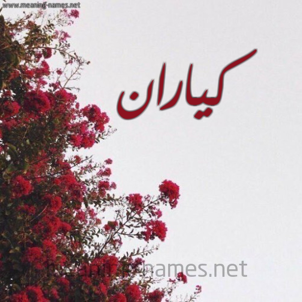 شكل 18 صوره الورد الأحمر للإسم بخط رقعة صورة اسم كياران Karan