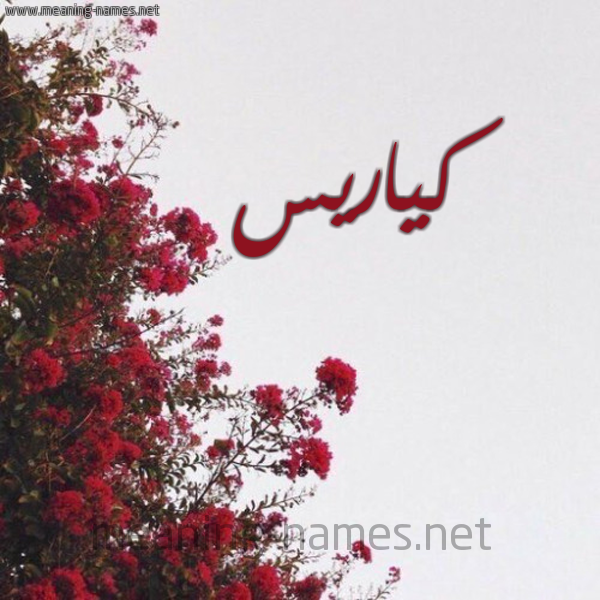 شكل 18 صوره الورد الأحمر للإسم بخط رقعة صورة اسم كياريس karis