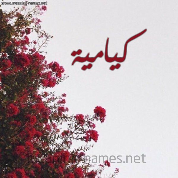 شكل 18 صوره الورد الأحمر للإسم بخط رقعة صورة اسم كيامية Kamiah