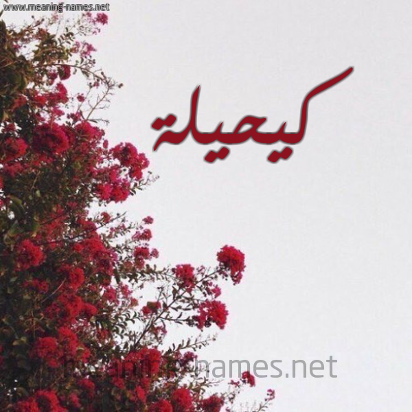 شكل 18 صوره الورد الأحمر للإسم بخط رقعة صورة اسم كيحيلة Kaheilah
