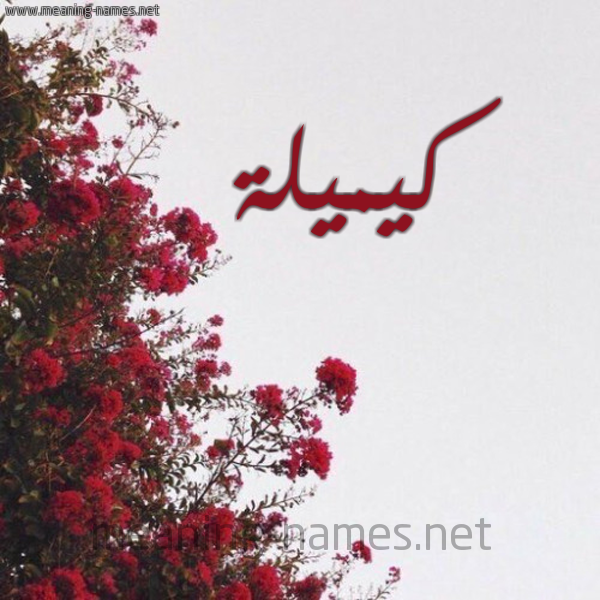 شكل 18 صوره الورد الأحمر للإسم بخط رقعة صورة اسم كيميلة Kamila