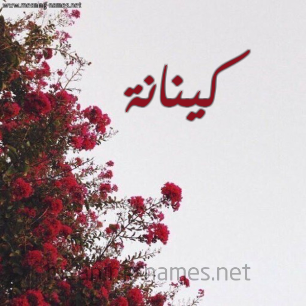 شكل 18 صوره الورد الأحمر للإسم بخط رقعة صورة اسم كينانة Kinanah