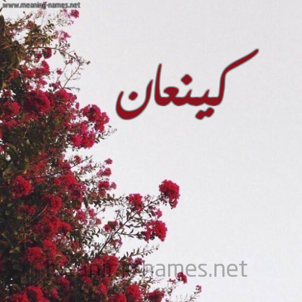 شكل 18 صوره الورد الأحمر للإسم بخط رقعة صورة اسم كينعان Kana'an