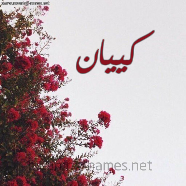 شكل 18 صوره الورد الأحمر للإسم بخط رقعة صورة اسم كييان Kayan
