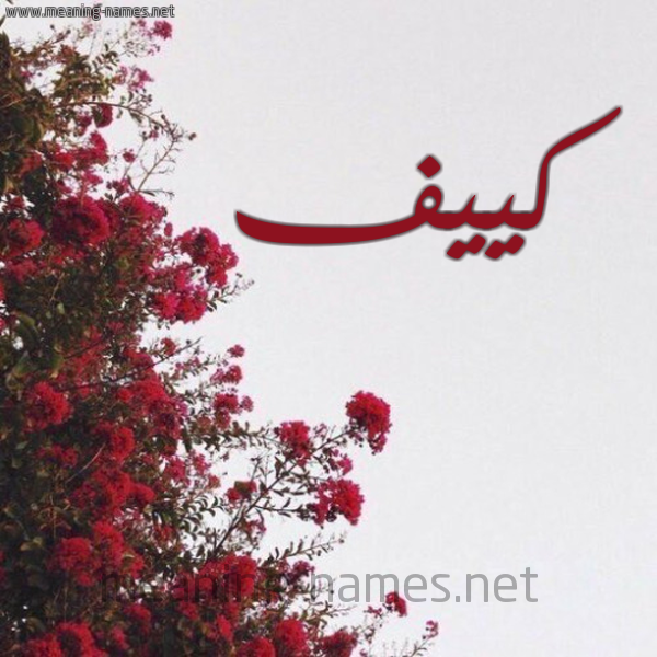 شكل 18 صوره الورد الأحمر للإسم بخط رقعة صورة اسم كييف Kaneef