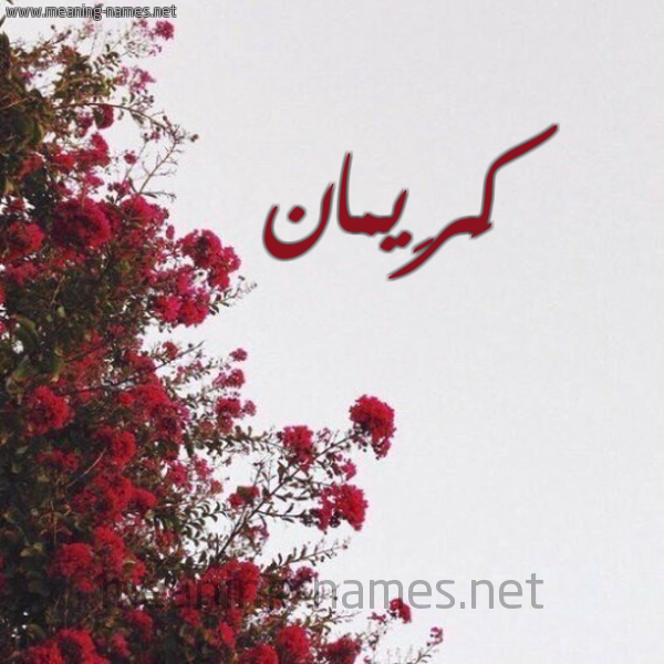 شكل 18 صوره الورد الأحمر للإسم بخط رقعة صورة اسم كَرِيمان KAREIMAN