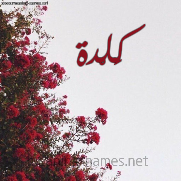 شكل 18 صوره الورد الأحمر للإسم بخط رقعة صورة اسم كَلْدة KALDH