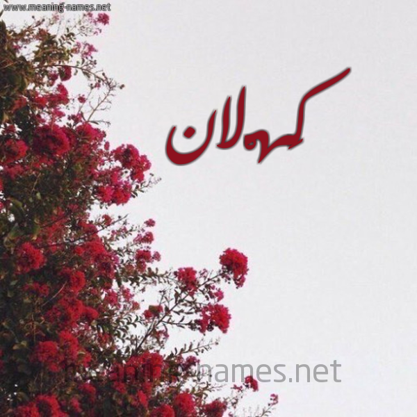 شكل 18 صوره الورد الأحمر للإسم بخط رقعة صورة اسم كَهْلان KAHLAN