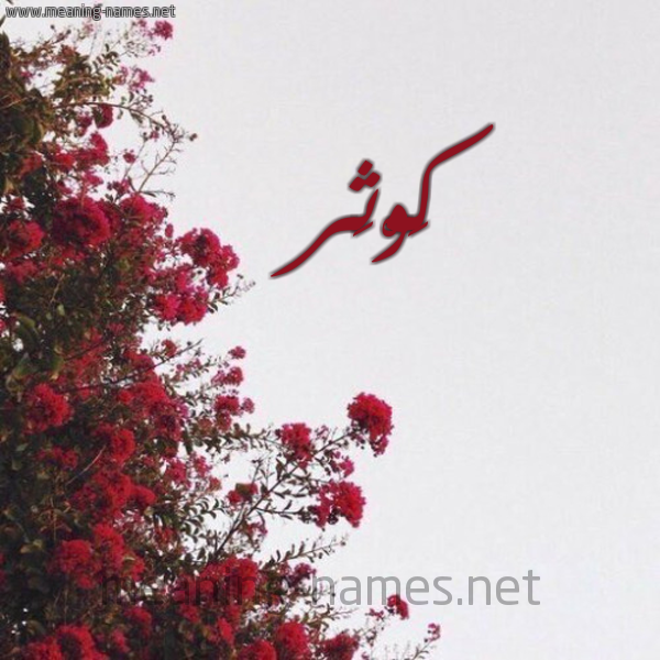 شكل 18 صوره الورد الأحمر للإسم بخط رقعة صورة اسم كَوْثَر kowther