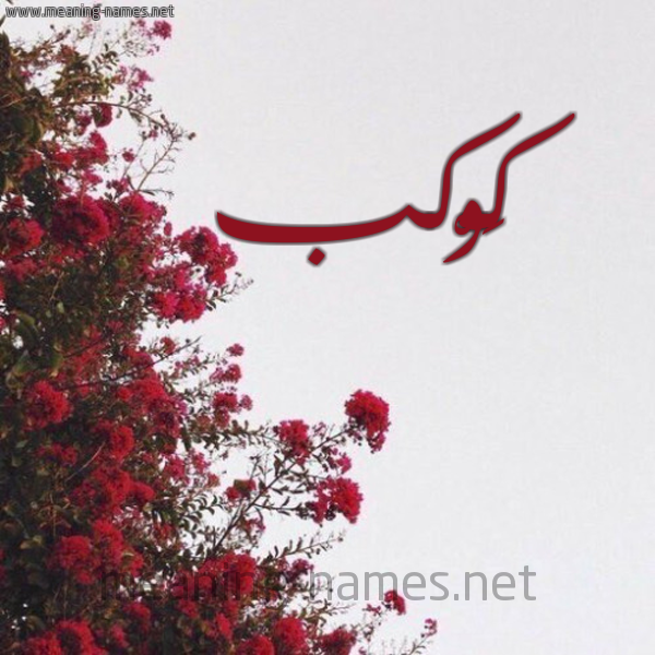 شكل 18 صوره الورد الأحمر للإسم بخط رقعة صورة اسم كَوْكب KAOKB
