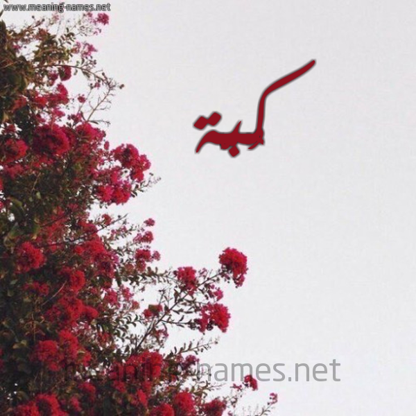 شكل 18 صوره الورد الأحمر للإسم بخط رقعة صورة اسم كُبَّة KOBAH