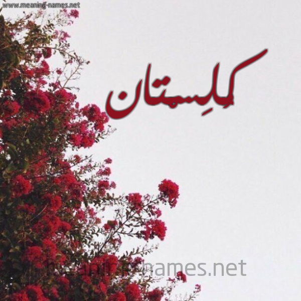 شكل 18 صوره الورد الأحمر للإسم بخط رقعة صورة اسم كُلِسْتان KOLESTAN