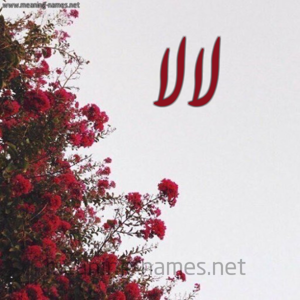 شكل 18 صوره الورد الأحمر للإسم بخط رقعة صورة اسم لالا Lala