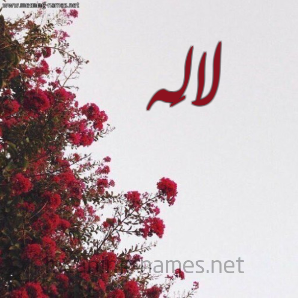 شكل 18 صوره الورد الأحمر للإسم بخط رقعة صورة اسم لالَه LALAH