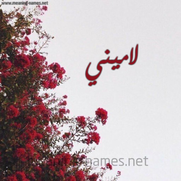 شكل 18 صوره الورد الأحمر للإسم بخط رقعة صورة اسم لاميني Lamen