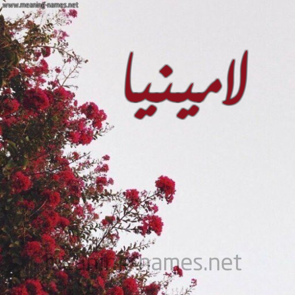 شكل 18 صوره الورد الأحمر للإسم بخط رقعة صورة اسم لامينيا Lamina