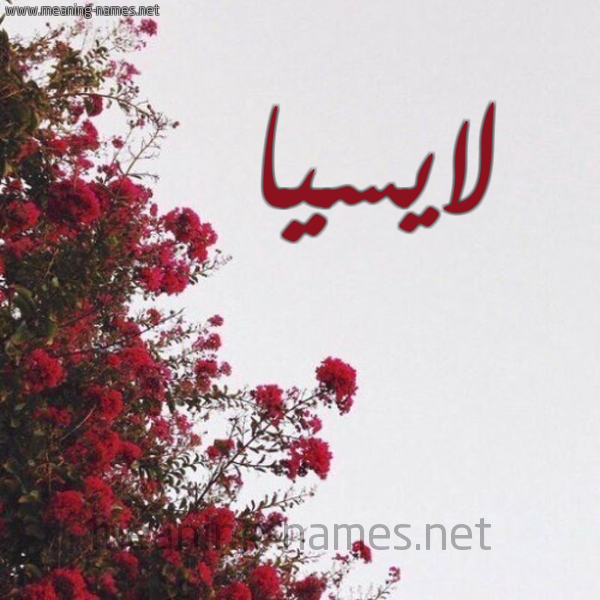 شكل 18 صوره الورد الأحمر للإسم بخط رقعة صورة اسم لايسيا Lassia