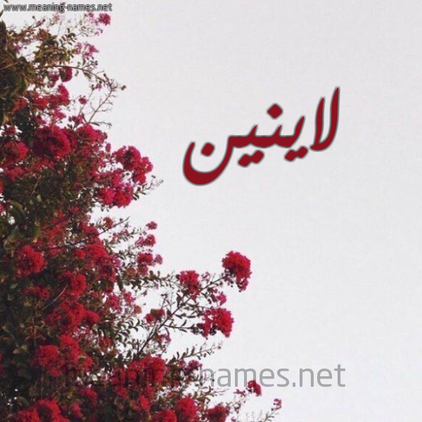 صورة اسم لاينين Lanin شكل 18 صوره الورد الأحمر للإسم بخط رقعة