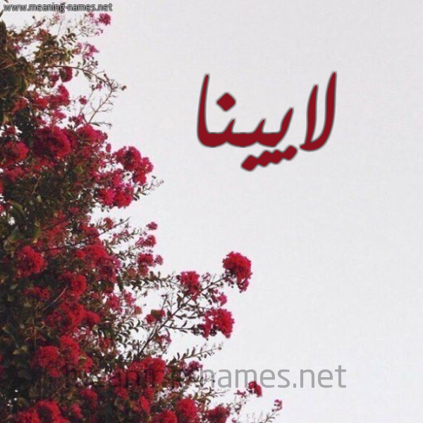 شكل 18 صوره الورد الأحمر للإسم بخط رقعة صورة اسم لايينا Laina