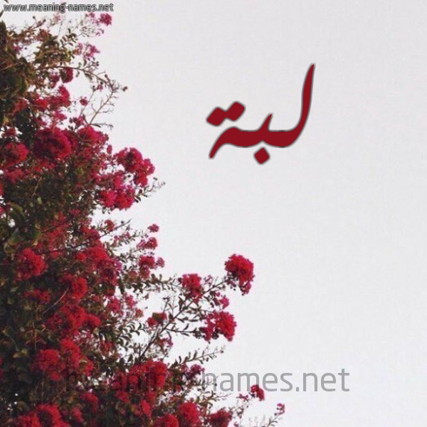 شكل 18 صوره الورد الأحمر للإسم بخط رقعة صورة اسم لبة LBH