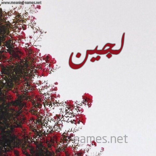 شكل 18 صوره الورد الأحمر للإسم بخط رقعة صورة اسم لجين Lojeen