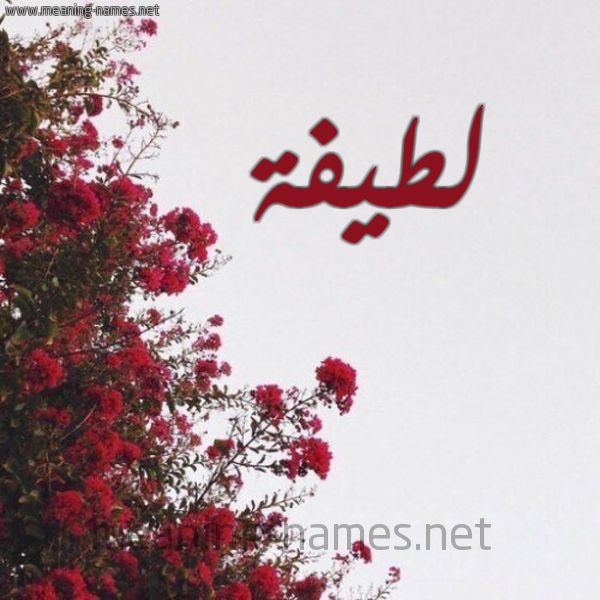 شكل 18 صوره الورد الأحمر للإسم بخط رقعة صورة اسم لطيفة Latifa