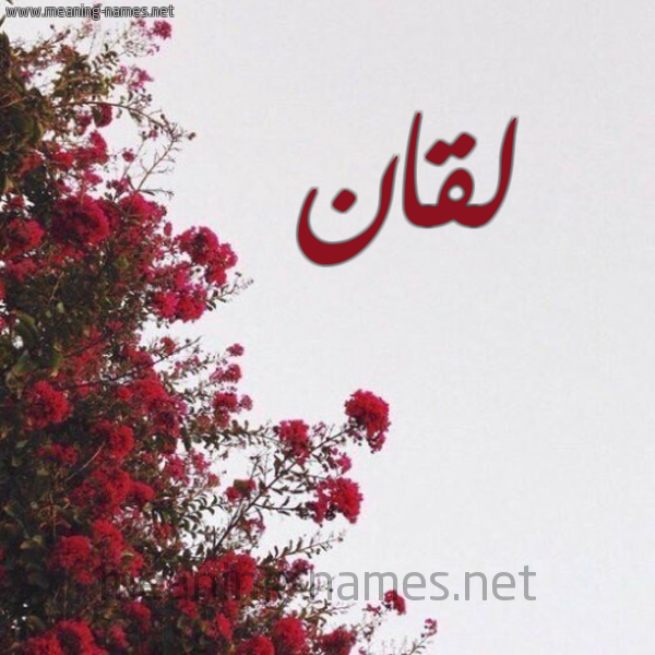 شكل 18 صوره الورد الأحمر للإسم بخط رقعة صورة اسم لقان Lqan