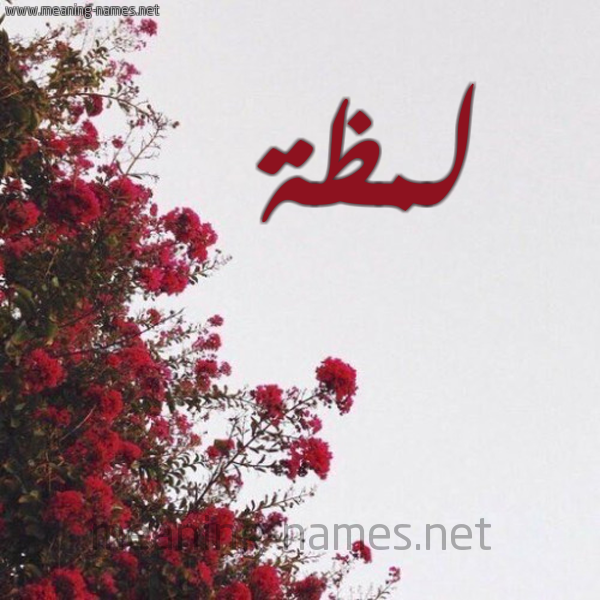 شكل 18 صوره الورد الأحمر للإسم بخط رقعة صورة اسم لمظة Lmzh