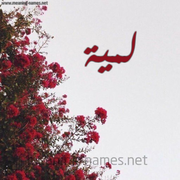 شكل 18 صوره الورد الأحمر للإسم بخط رقعة صورة اسم لمية Lamia