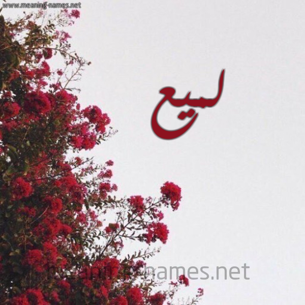 شكل 18 صوره الورد الأحمر للإسم بخط رقعة صورة اسم لميع Lmy'