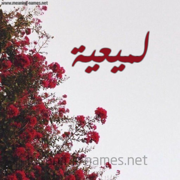 شكل 18 صوره الورد الأحمر للإسم بخط رقعة صورة اسم لميعية Lameyyah